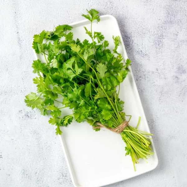 Coriander Leaves (Dhaniya)