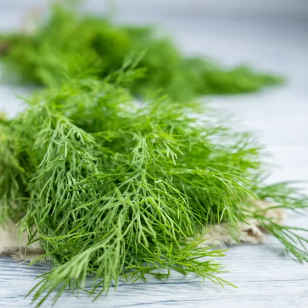 Soy kura (Suva Bhaji)