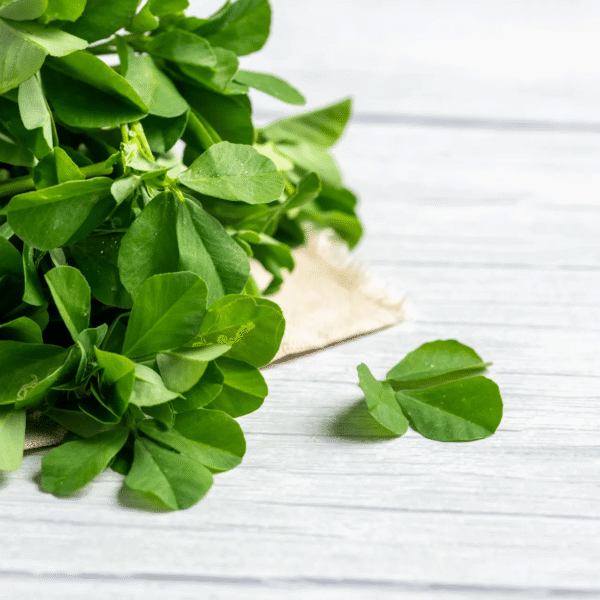 Menthi kura Big (Fenugreek)