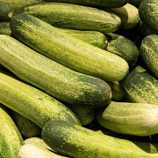 IMG_0303 Cucumber - Image 1