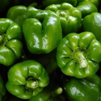 Capsicum green