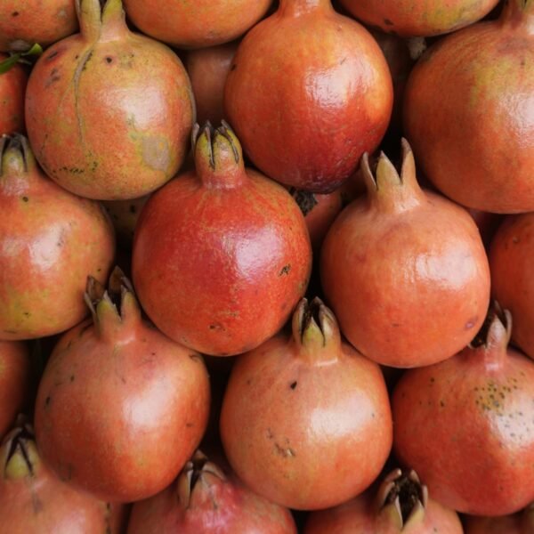 Pomegranate