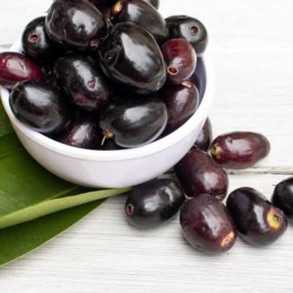 Java plum (black berry)